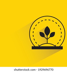 plant in greenhouse with shadow on yellow background