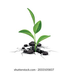 Plant ground cracks realistic composition with isolated image of green sprout growing from hole in ground vector illustration