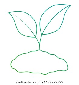 plant and ground ecology