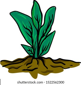 Plant in ground, illustration, vector on white background.