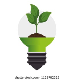 plant and ground inside bulb ecology