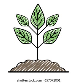 plant with ground to save and care environment