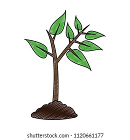 Plant in ground scribble