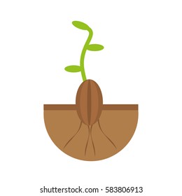plant grow flourishes natural vector illustration eps 10