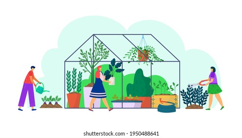 Plant grow in greenhouse, garden nature at building, vector illustration. Cartoon gardening with green agriculture plant, flower. Flat man woman