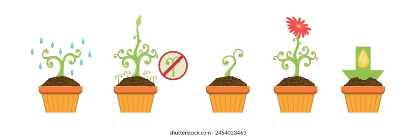 Plant Growing and Cultivation with Seedling in Soil in Pot Vector Set