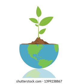 Plant growing in earth pot vector design illustration isolated on white background