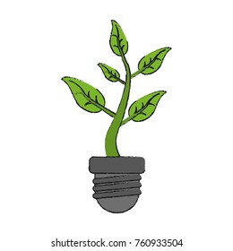 Plant growing from ground