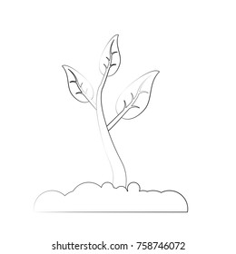 Plant growing in ground icon vector illustration graphic design
