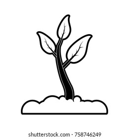 Plant growing in ground icon vector illustration graphic design