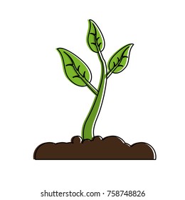 Plant growing in ground icon vector illustration graphic design