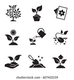 Plant growing icons set. Black on a white background