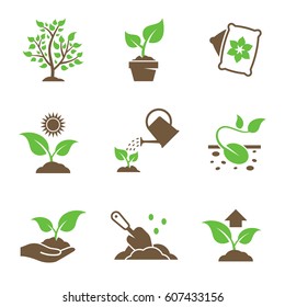 Plant growing icons set. Green, brown icons on a white background