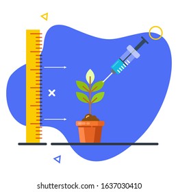 Plant growing with medicating. Plant medication. Plant, ruler and syringe icons.