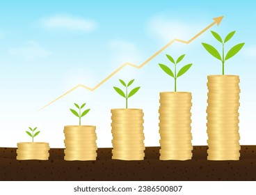 Plant Growing on Coin Stack in Soil. Growing Money, Saving and Investment Concept. 