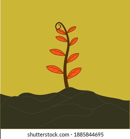 a plant growing on the ground
