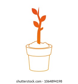 Plant growing on pot