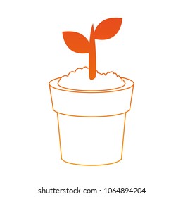 Plant growing on pot