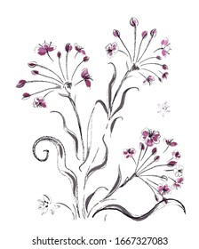A plant growing on the shore of fresh water. Butomus ombellatus or peak flower. Botanical illustration with a textured brush. Isolated image on a white background. Vector graphics.