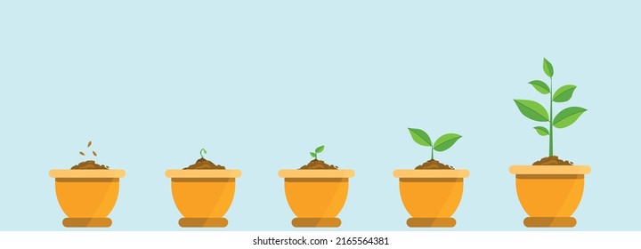 Fases de cultivo de plantas en olla, plantar árbol, concepto de siembra. Icono de cultivo de la agricultura de árboles. Ilustración vectorial estilo moderno plano.