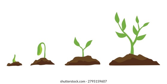 Plant growing phases sprout tree organic illustration design vector
