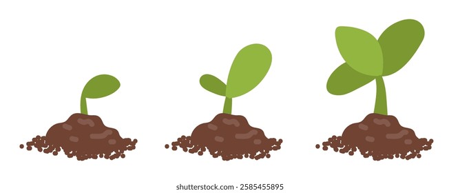 Plant growing phases vector illustration. Green leaf, nature or agriculture icons. Realistic sprout, growth symbol