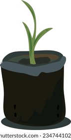 Una planta que crece en una bolsa de pólvora