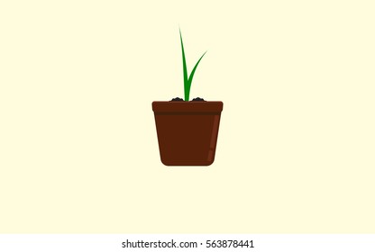 Plant growing in pot flat icon Vector.