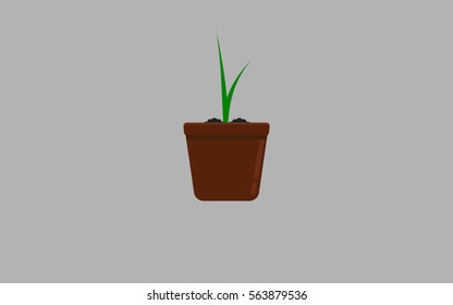 Plant growing in pot flat icon Vector.