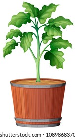 Plant Growing the Pot illustration