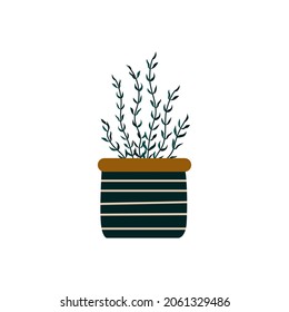 Plant growing in a pot. Vector illustration isolated on white background. Illustration in flat style