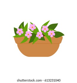 Plant growing in pot. Vector illustration.