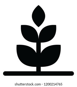 
A plant growing, sapling icon design 
