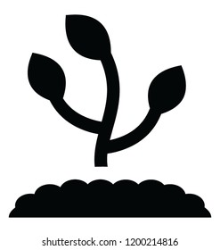 
A plant growing, sapling icon design 
