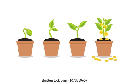 Plant Growing In Savings Coins - Investment And Interest Concept, Business investment growth concept, with stack money coin. Vector illustration.