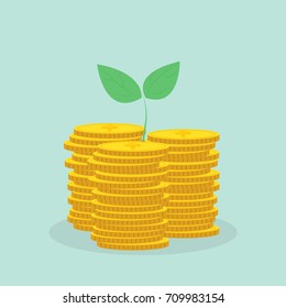 Plant Growing In Savings Coins - Investment And Interest Concept ,Business investment growth concept,with stack money coin 