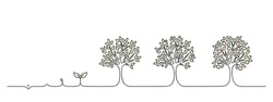 Plant Growing From Seedling Into Tree Vector Illustration, Life Cycle Of Apple Tree From Seed Or Sapling, Blossoms Turning Into Fruits On White Background, Nature Concept, Black Line