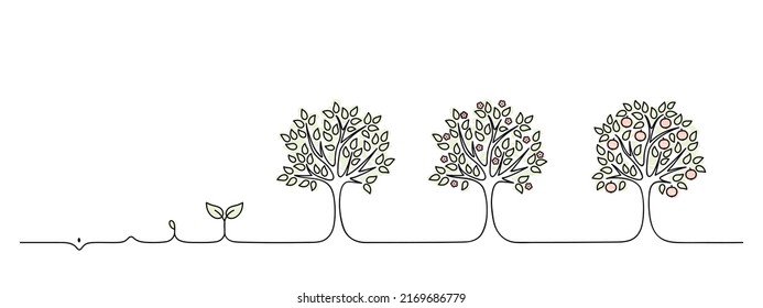 plant growing from seedling into tree vector illustration, life cycle of apple tree from seed or sapling, blossoms turning into fruits on white background, nature concept, black line