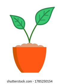 Plant growing in terracotta pot, colour vector design logo icon.