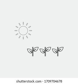 plant growing under sun vector icon