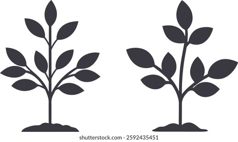 Plant growing vector, Tree growing, Vector of tree growing silhouette illustration