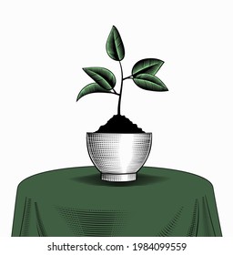 A plant with a growing young shoot or sprout in a pot, standing on the table. Vintage engraving stylized drawing. Vector illustration