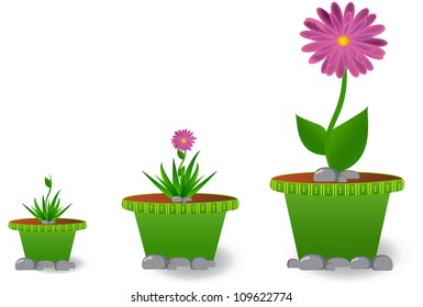 Plant growth