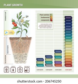 Plant growth