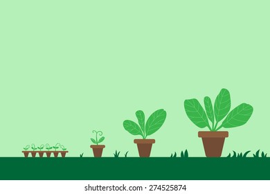 Plant growth
