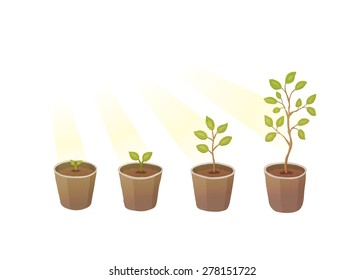 7,236 Tree life evolution Images, Stock Photos & Vectors | Shutterstock