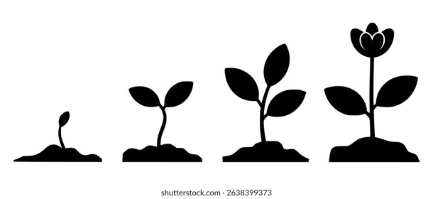 Plant growth cycle from seedling to blooming flower vector illustration