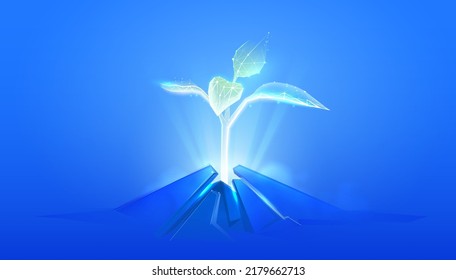 Plant growth in digital futuristic style. Young growth breaks through the ground, the concept of strength and indestructibility. Wireframe vector illustration on dark night with light effect