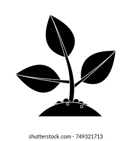 plant growth icon