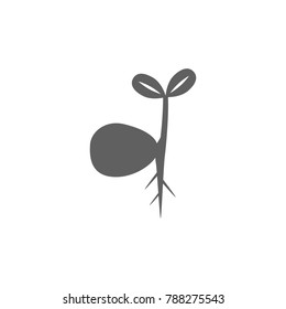 Plant Growth icon vector